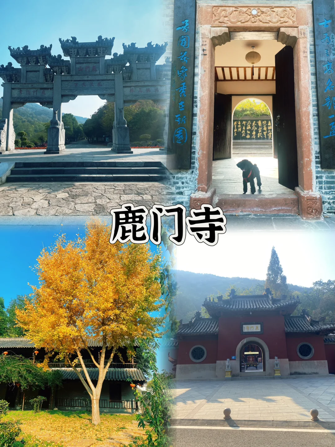 本地人整理 | 襄阳真正必打卡的九大景区