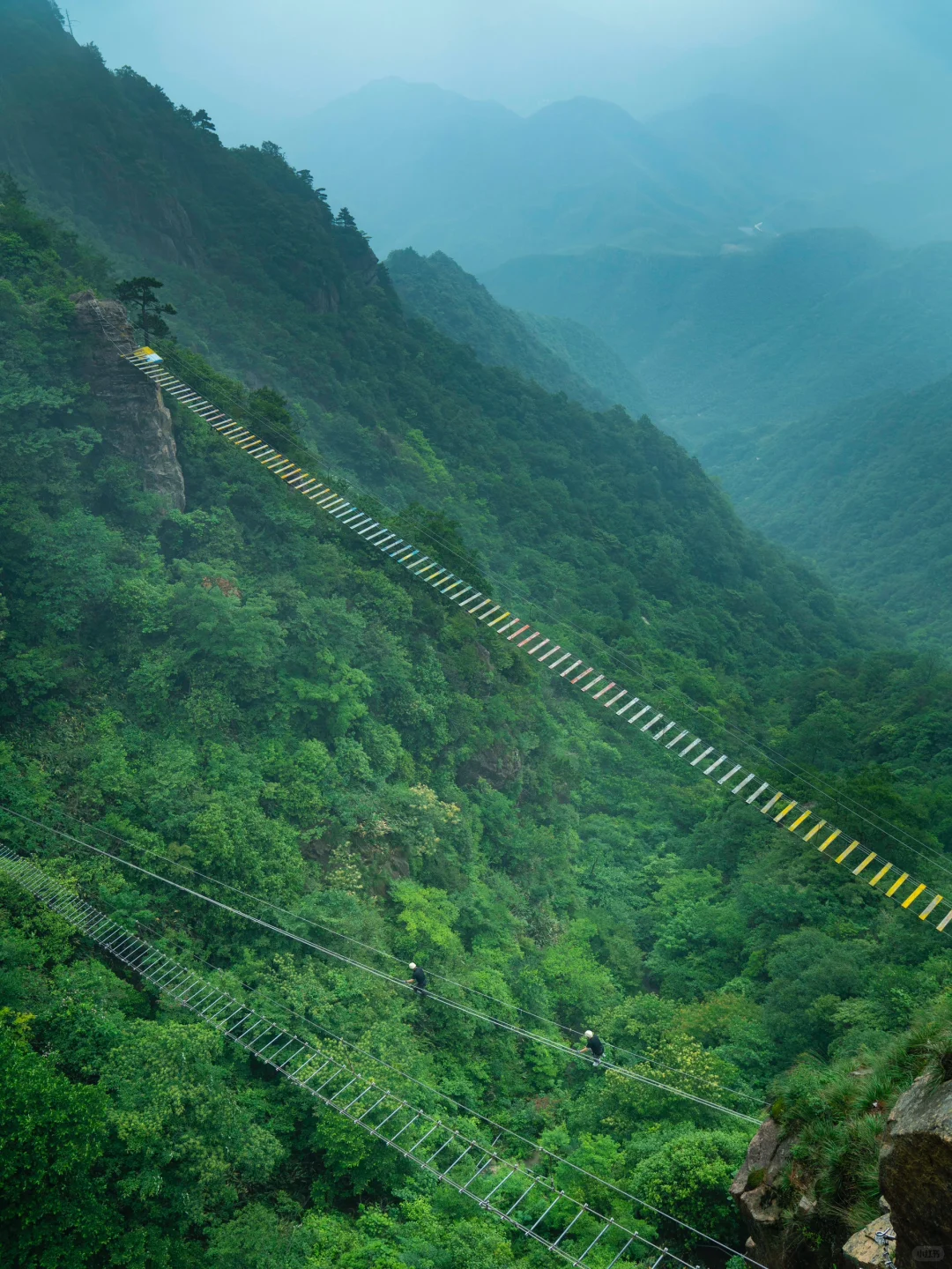 可惜你不来安吉❗️不知道悬崖上的草原多好玩