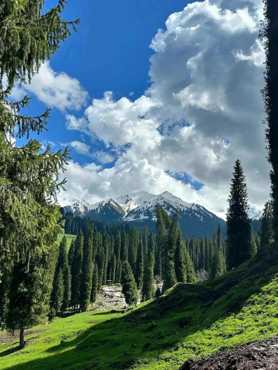 新疆已📍崩无可崩！看完决定6-8月来不来