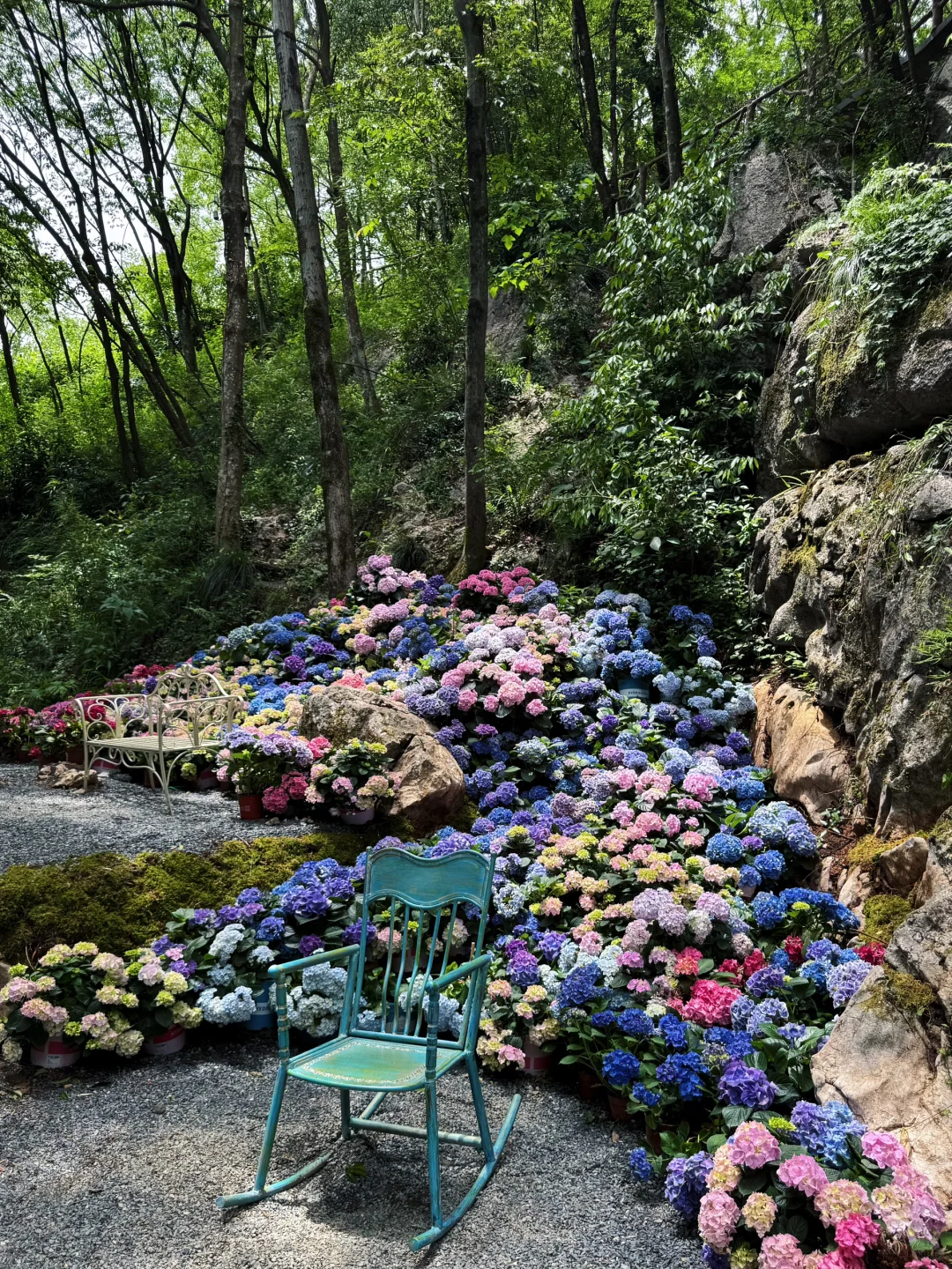 🌿杭州灵山·仙桥洞｜闯进现实版“绿野仙踪”！