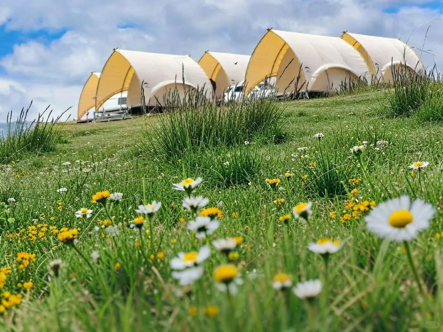 从新疆回来狠狠emo了😭,提醒6-7月要去的