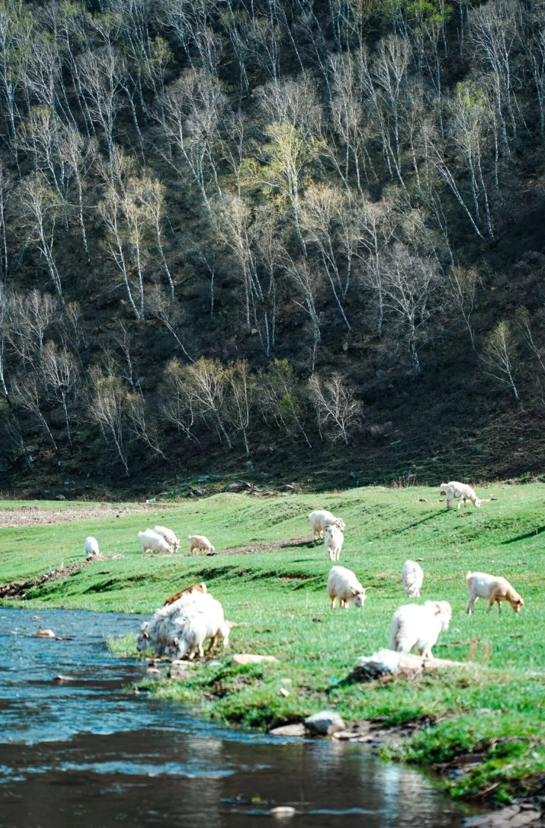 暑期逃离计划！！2h直达京北“小新疆”