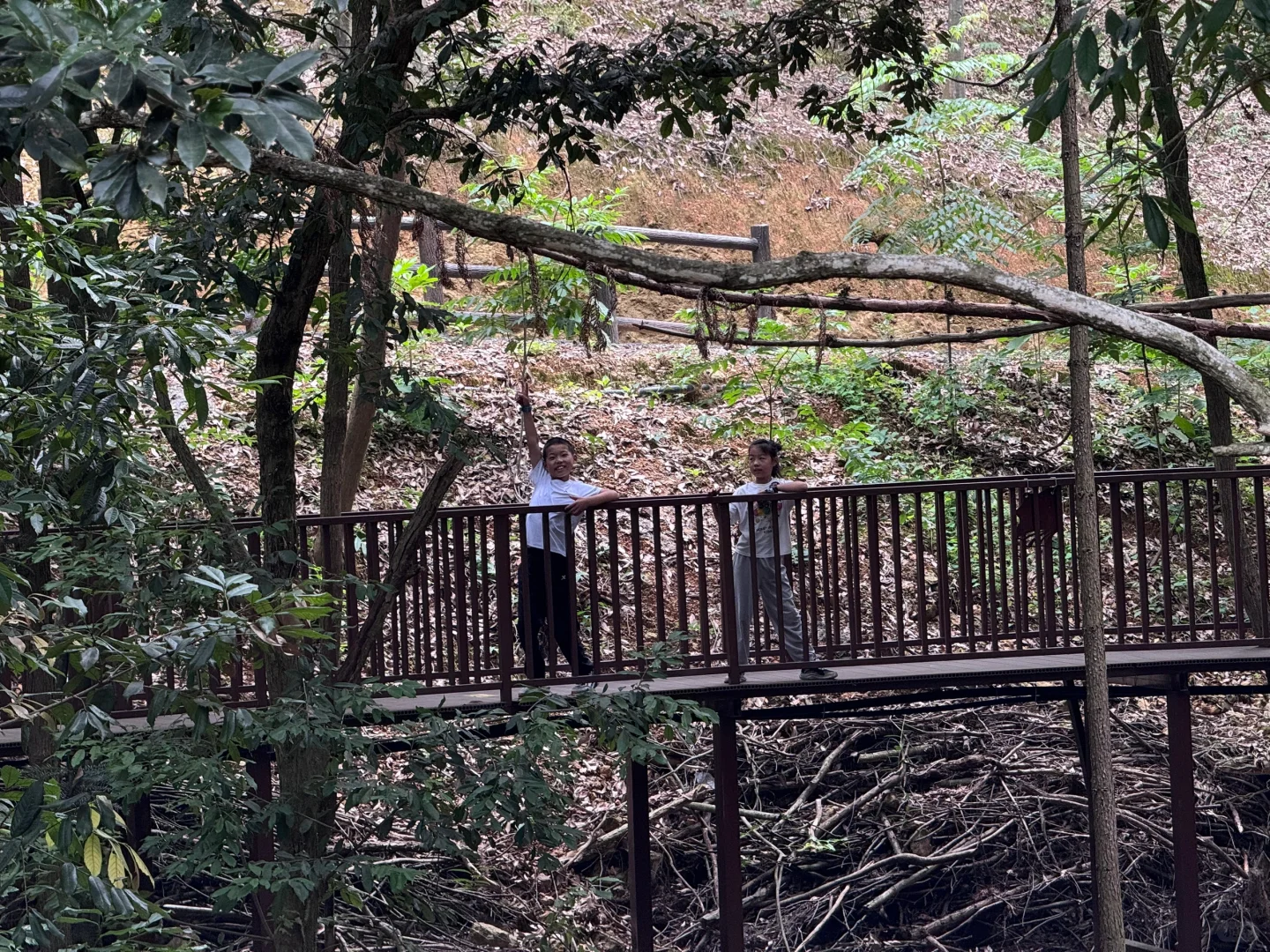 把这条推给所有千岛湖本地人