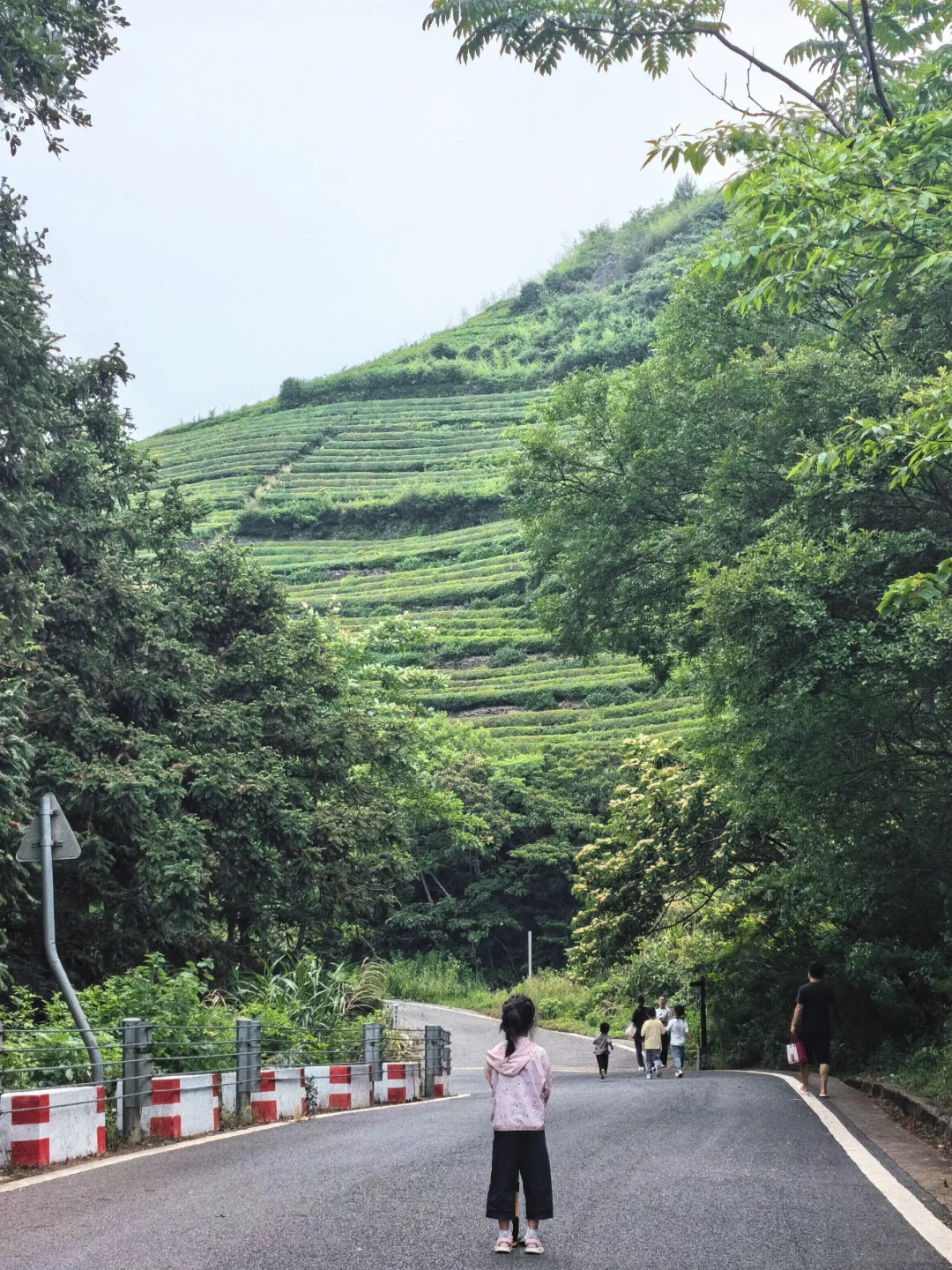 🍃宁波周末亲子徒步🌿第一站 福泉茶山