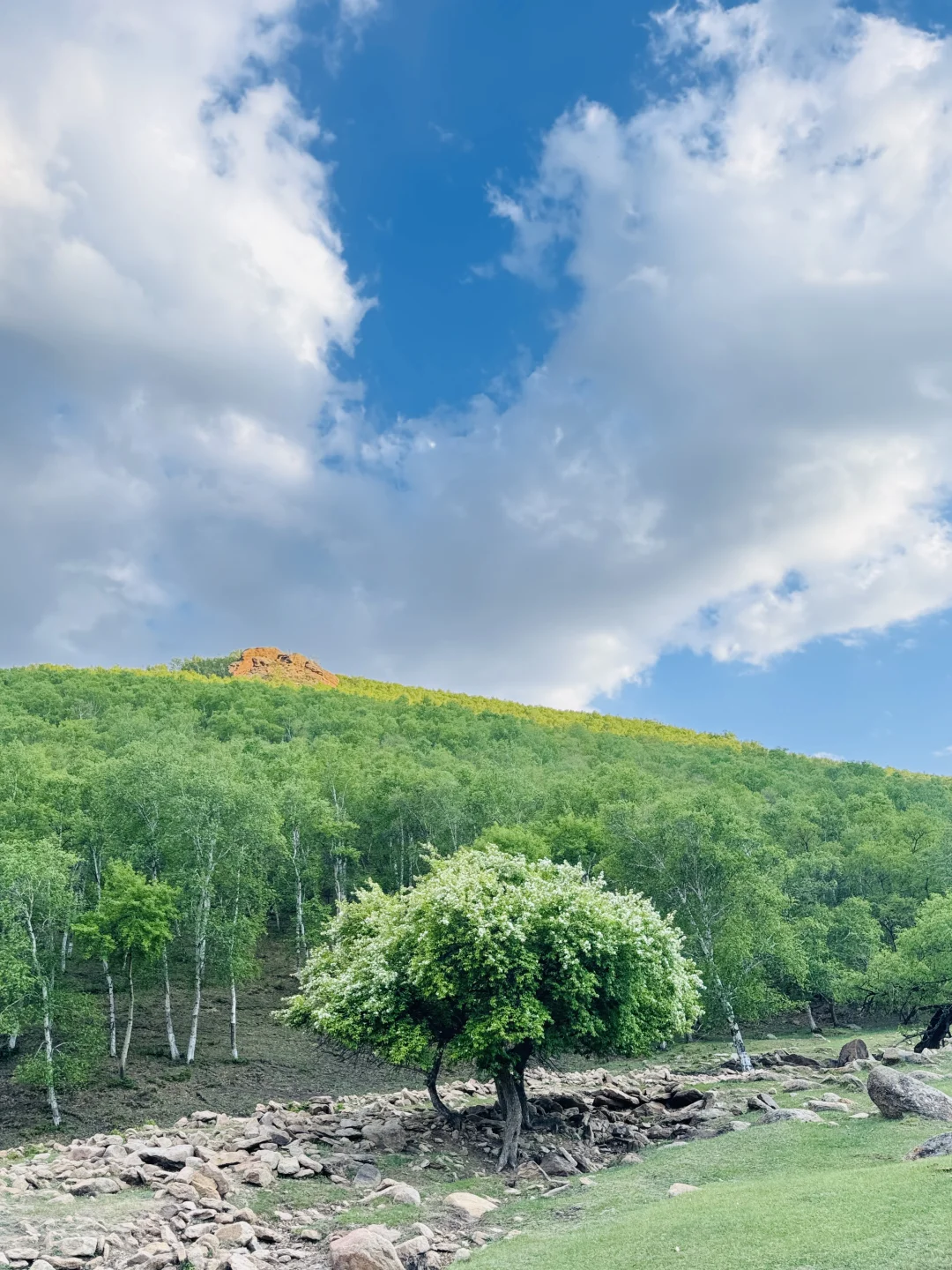 北京出发赤峰大青山两天一晚