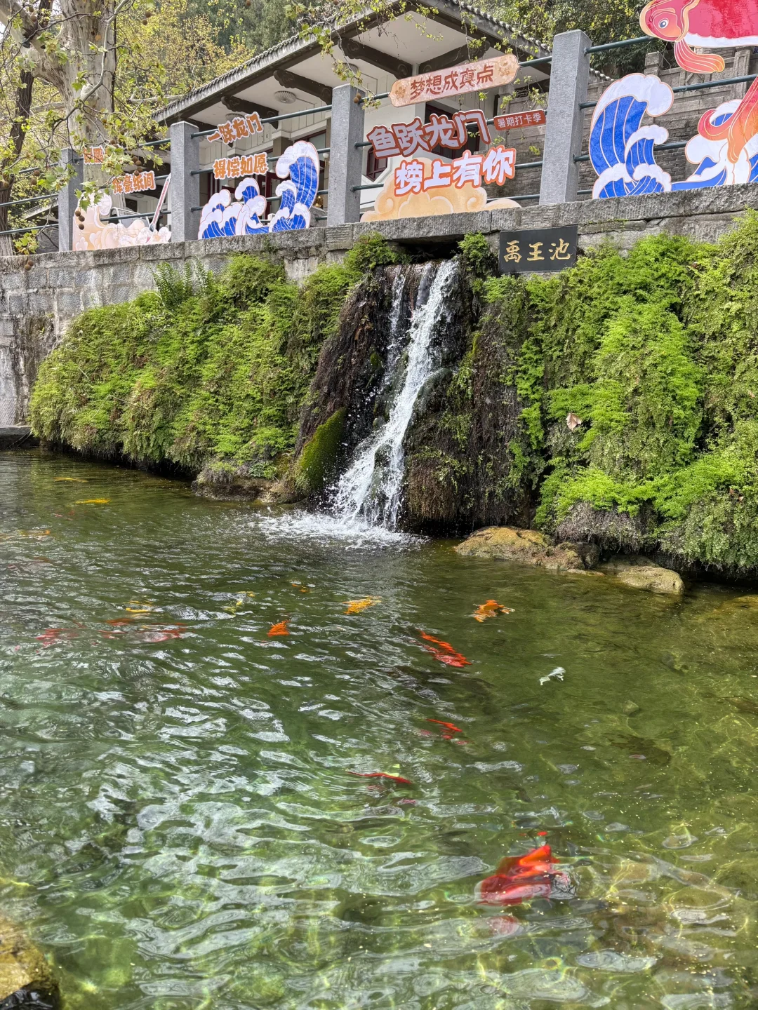 洛阳|龙门石窟旅游攻略!