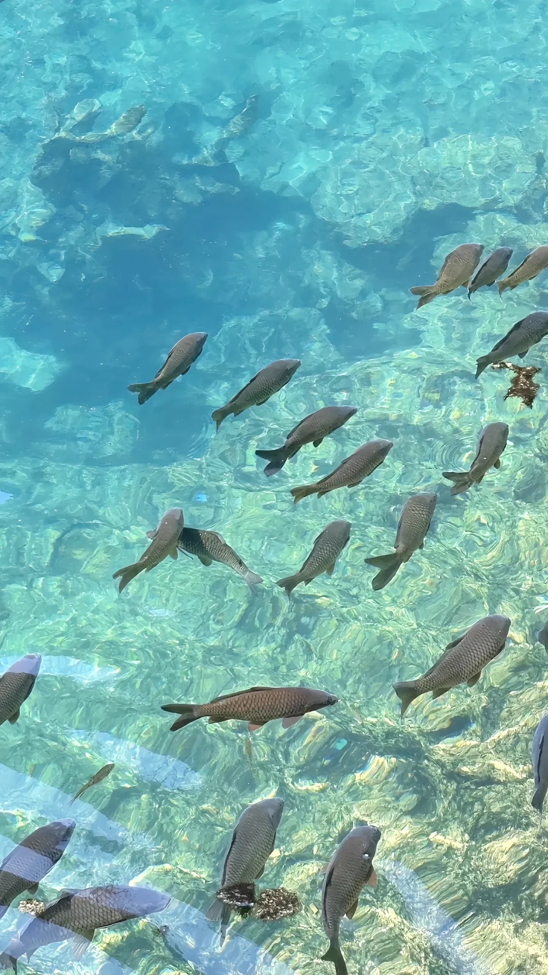 贵州已回，xhs广太多了！！！