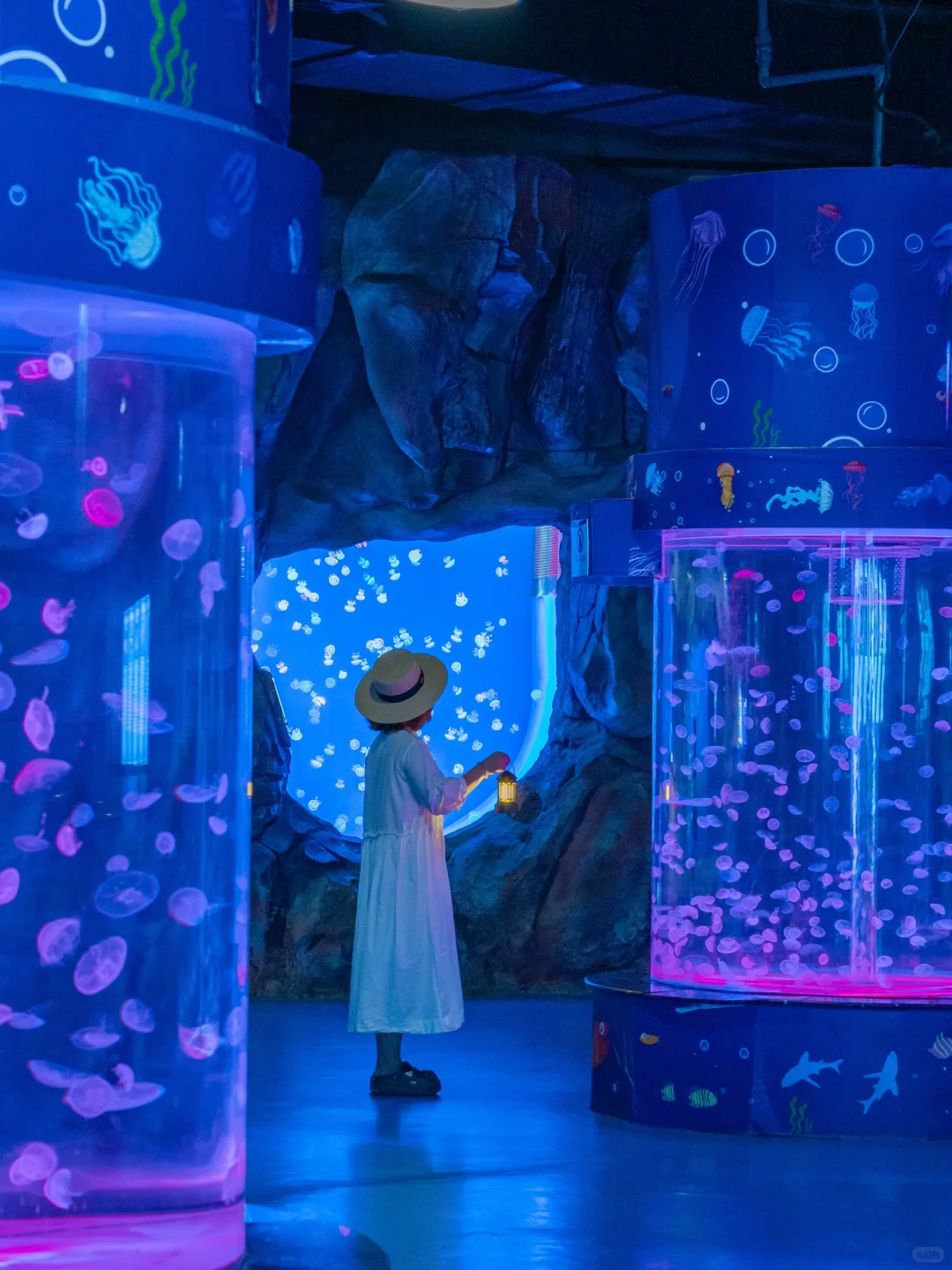 不在计划中❗️但却是威海旅行中最值得的一站