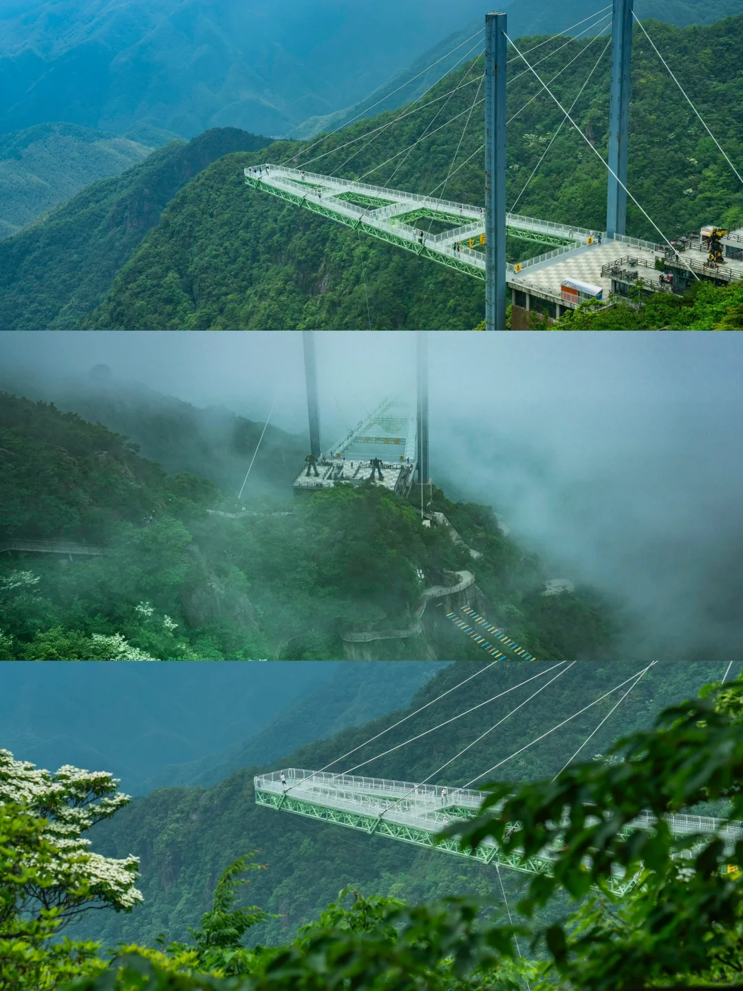 可惜你不来安吉❗️不知道悬崖上的草原多好玩