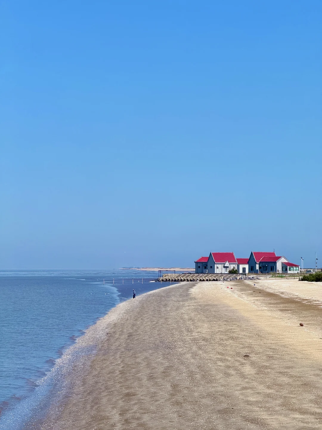 滨州2日漫游攻略|小众冷门天花板!