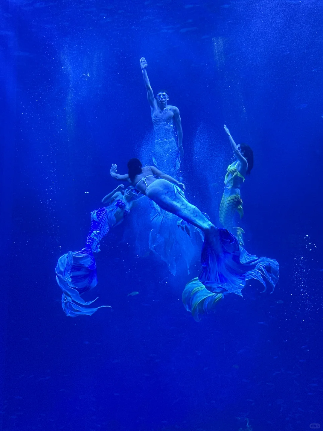 本以为橘子洲很美了，直到我来了这里……🥹