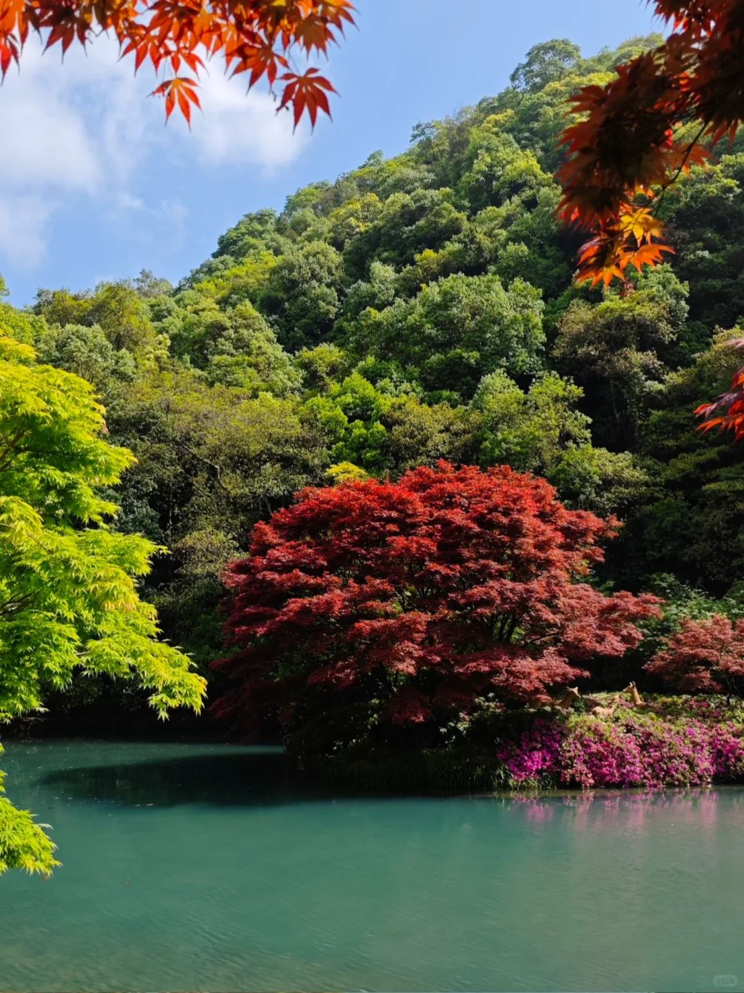 杭州｜五月份的杭州美出了天际