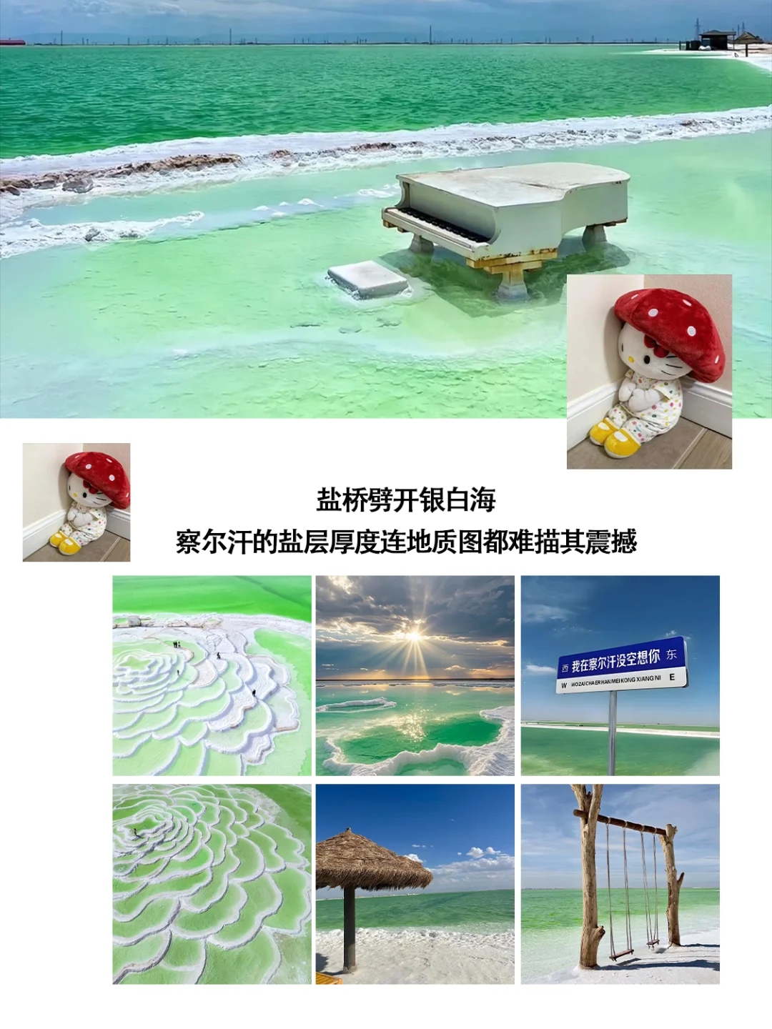 西北📍假期Citywalk 保姆级旅游攻略‼️