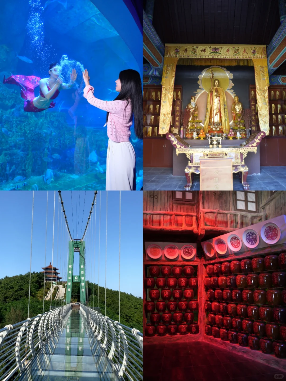 暑假来威海骂醒一个算一个!!真的太坑😭