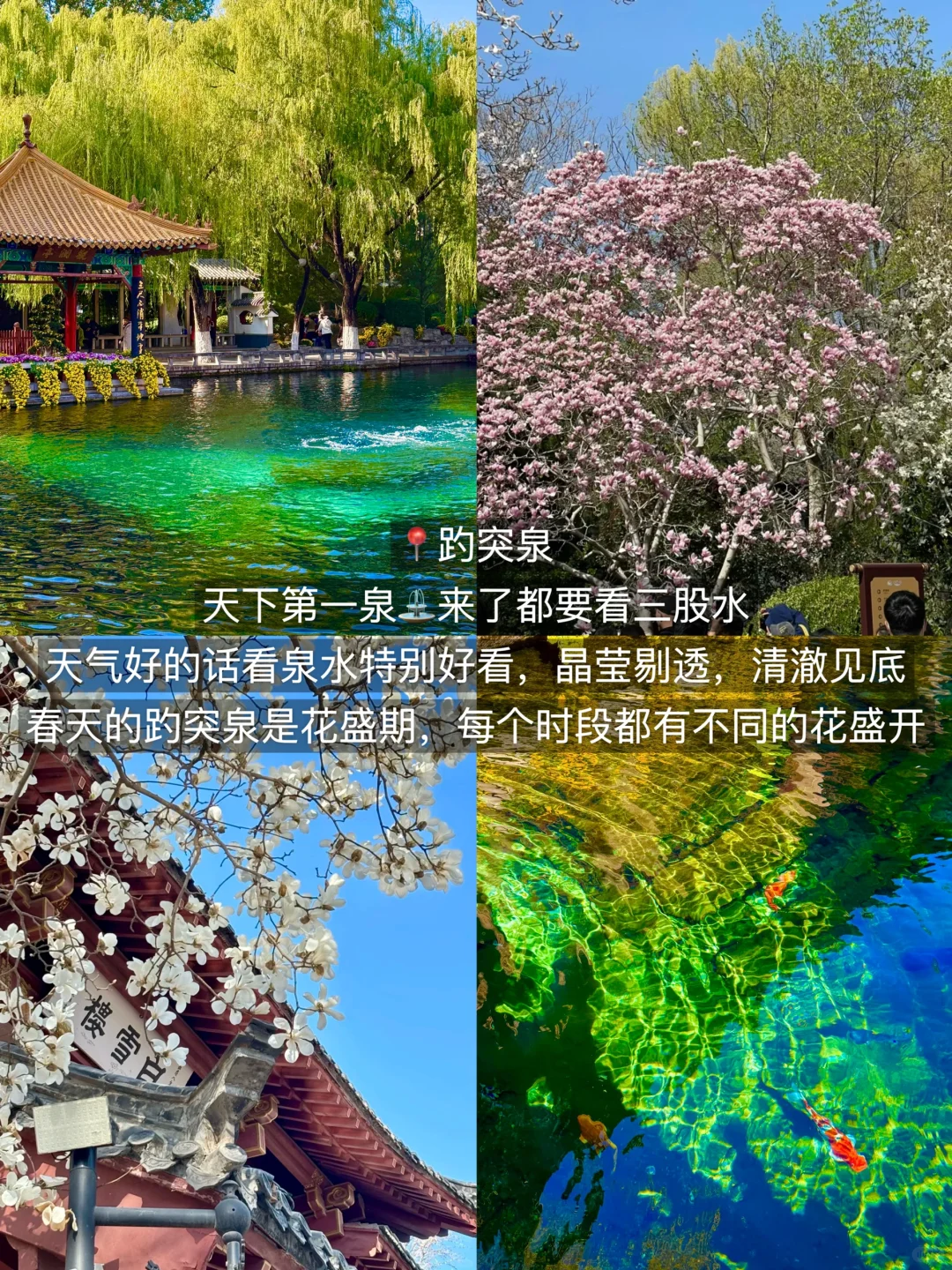 给来济南旅游的小伙伴们一些建议。。。（春夏版