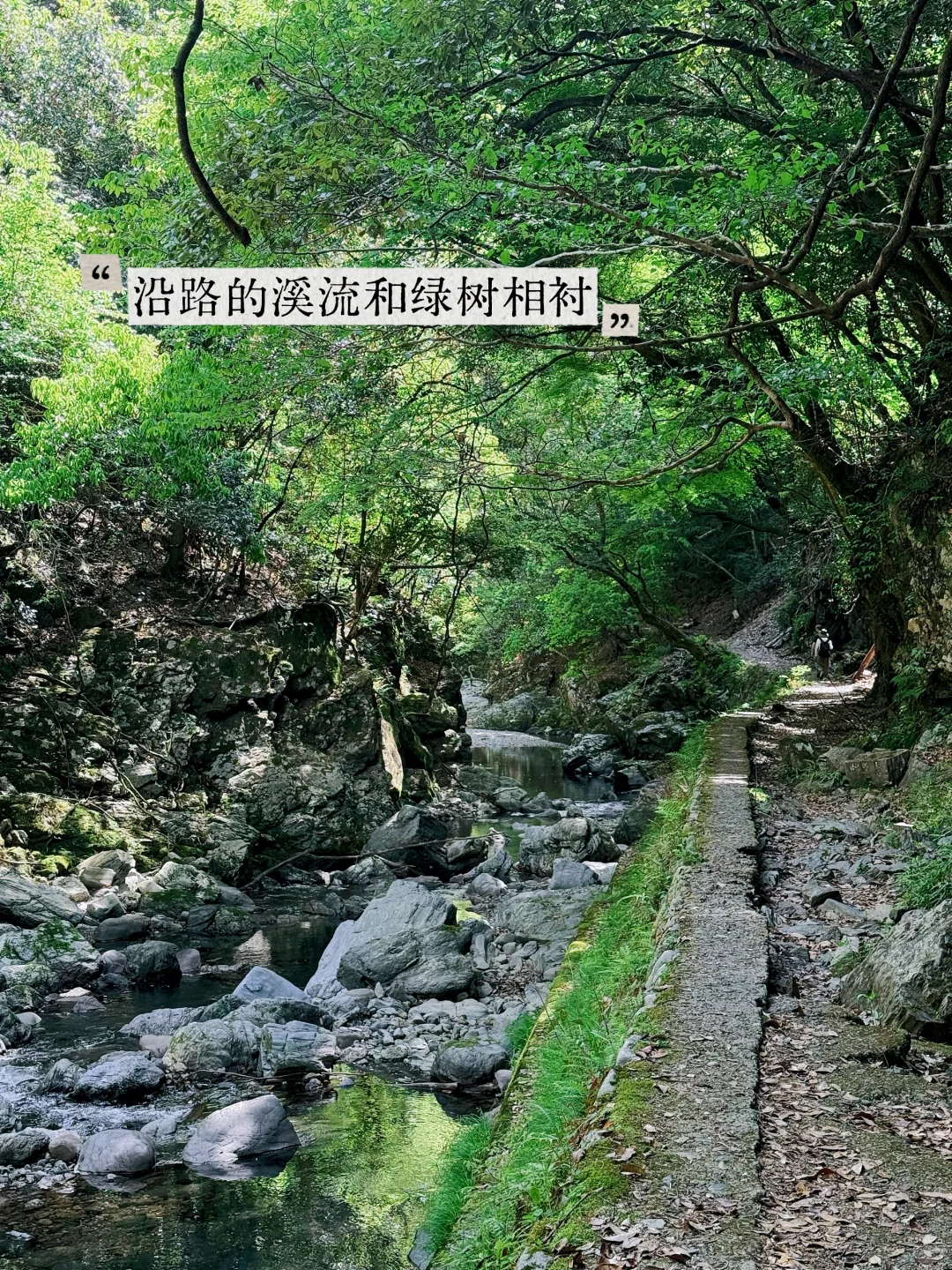避开人潮！京都初夏绿径，高雄线徒步攻略