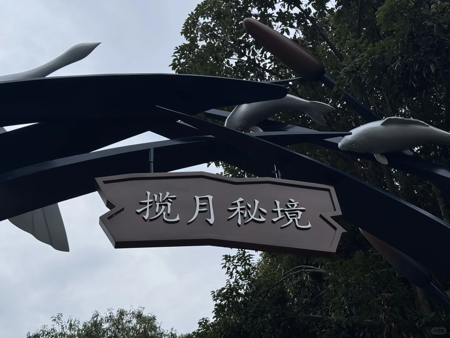 把这条推给所有千岛湖本地人