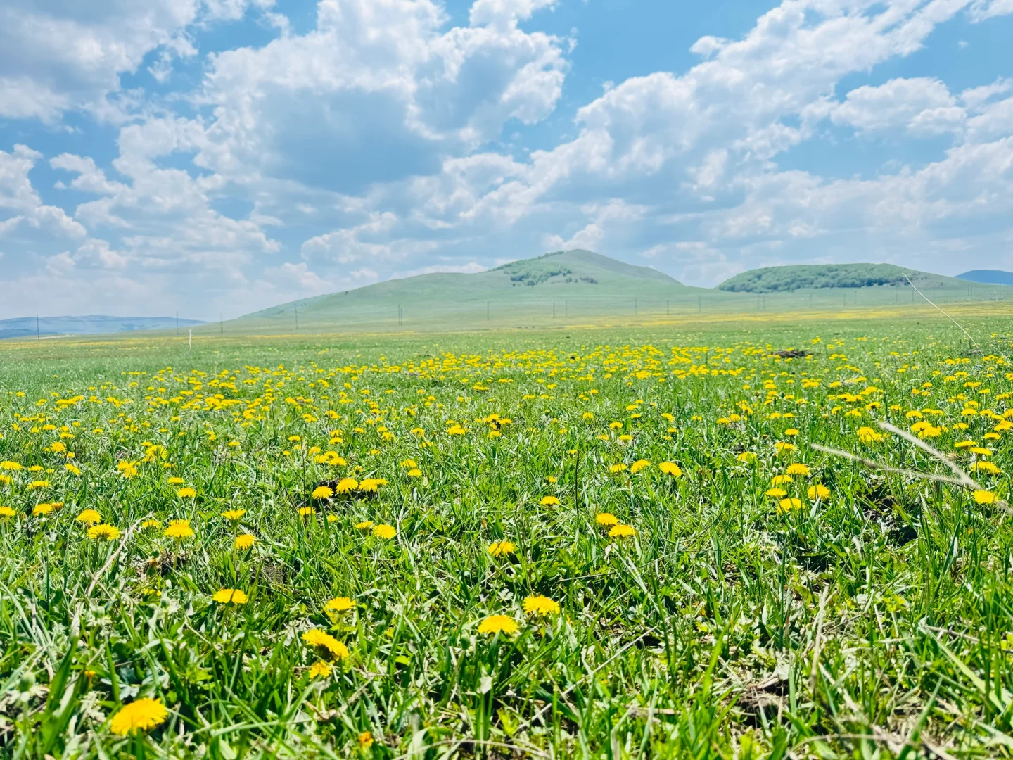 北京出发赤峰大青山两天一晚