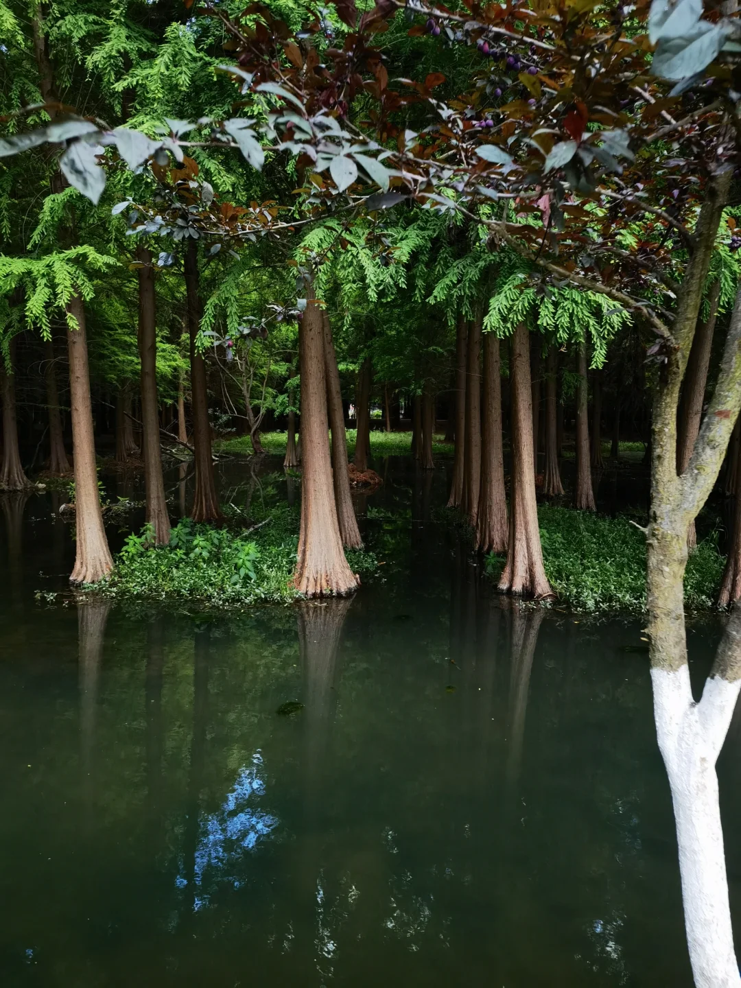 旅游攻略分享——昆明