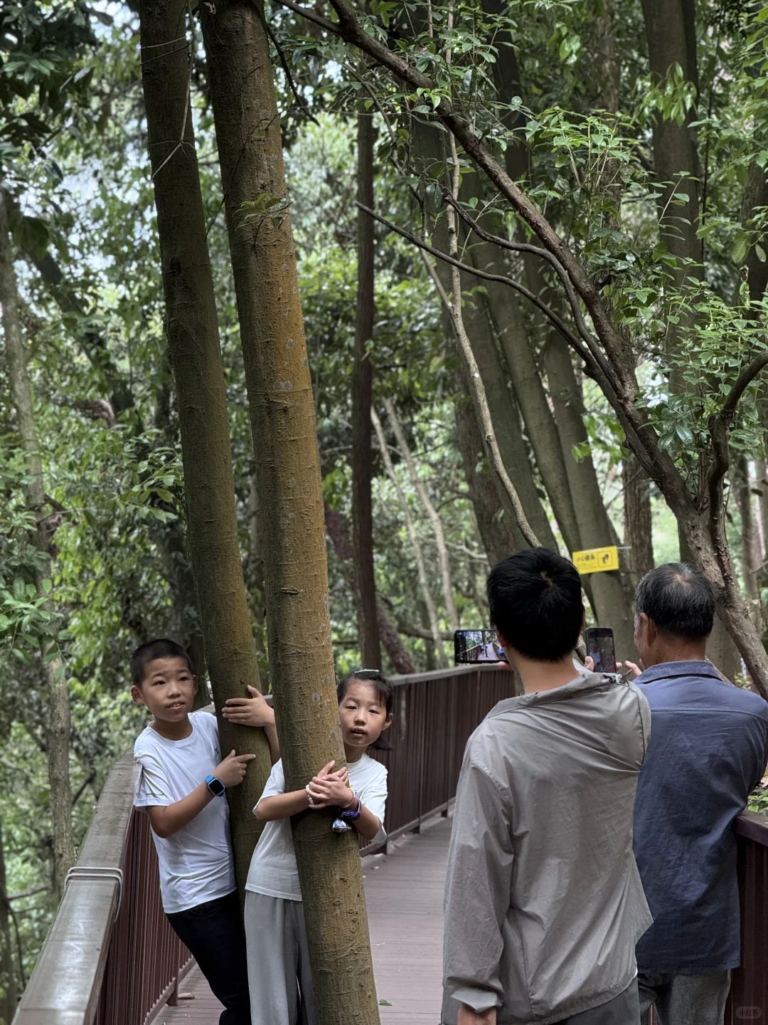 把这条推给所有千岛湖本地人