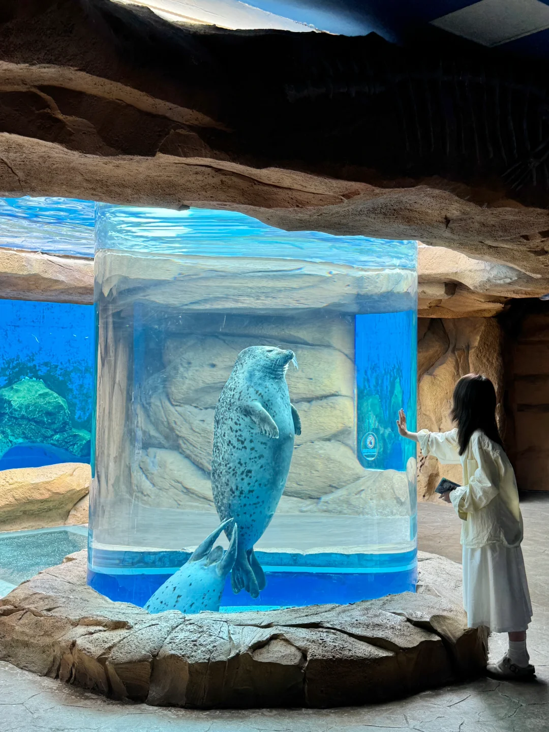 本以为橘子洲很美了，直到我来了这里……🥹