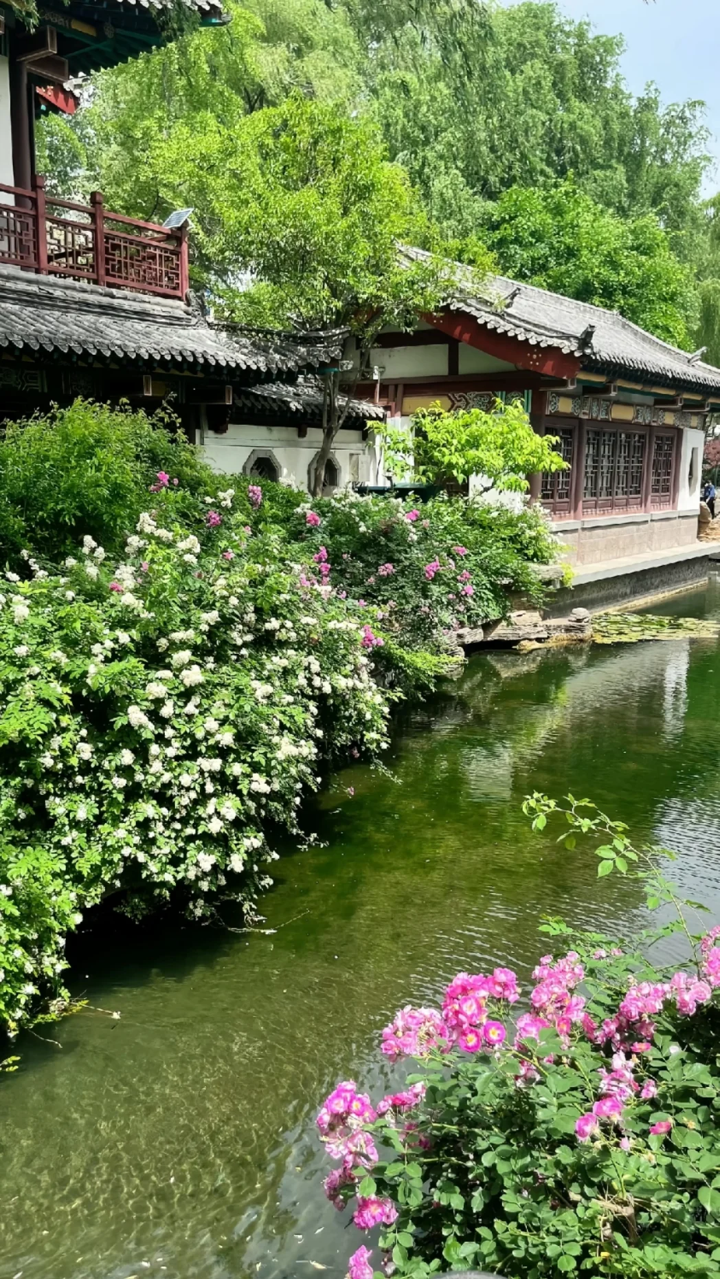 邯郸周边游之济南一日游，旅游攻略分享