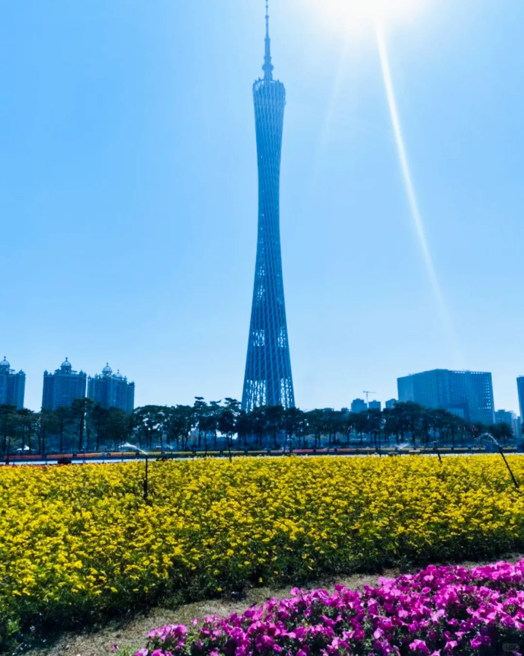 广州儿童节免费遛娃天花板！藏在这里！