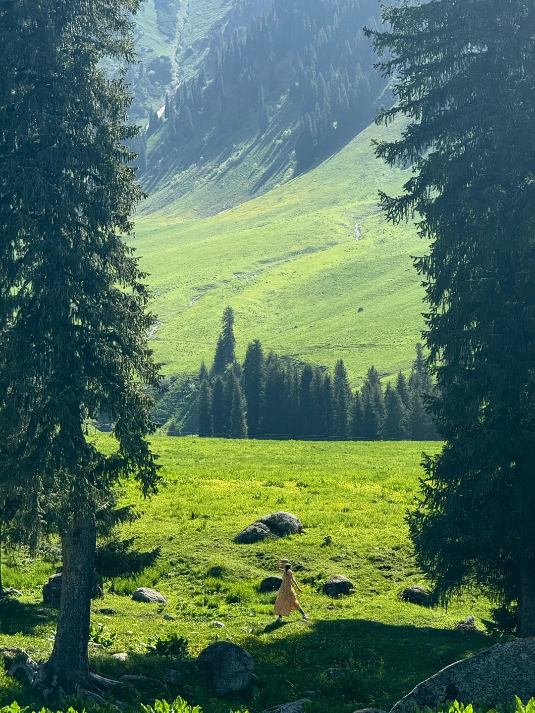 新疆live🌲，这里今年一定会爆火！