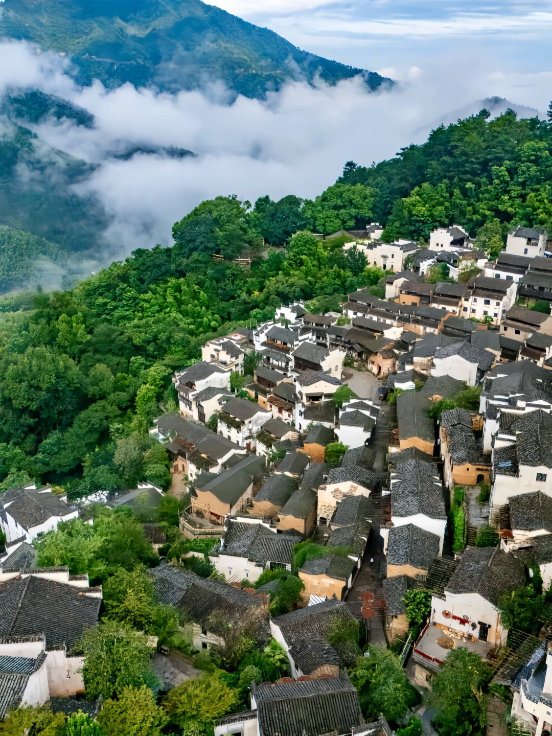 迄今为止❗我最喜欢的治愈小城出现了❗