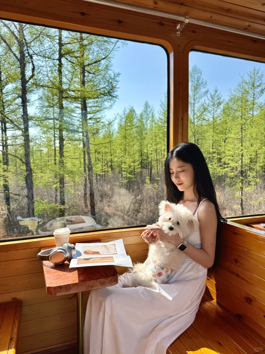 初夏的呼伦贝尔，美到失语！！！