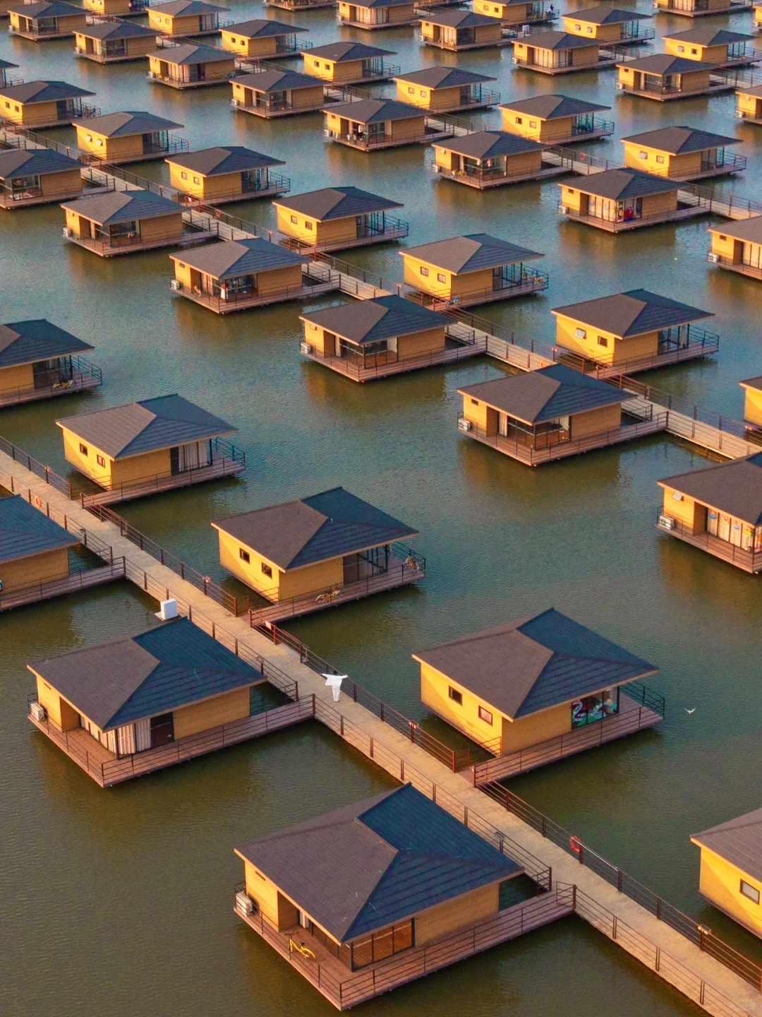 朋友圈被问疯了🤣真不是国外！是河北‼️