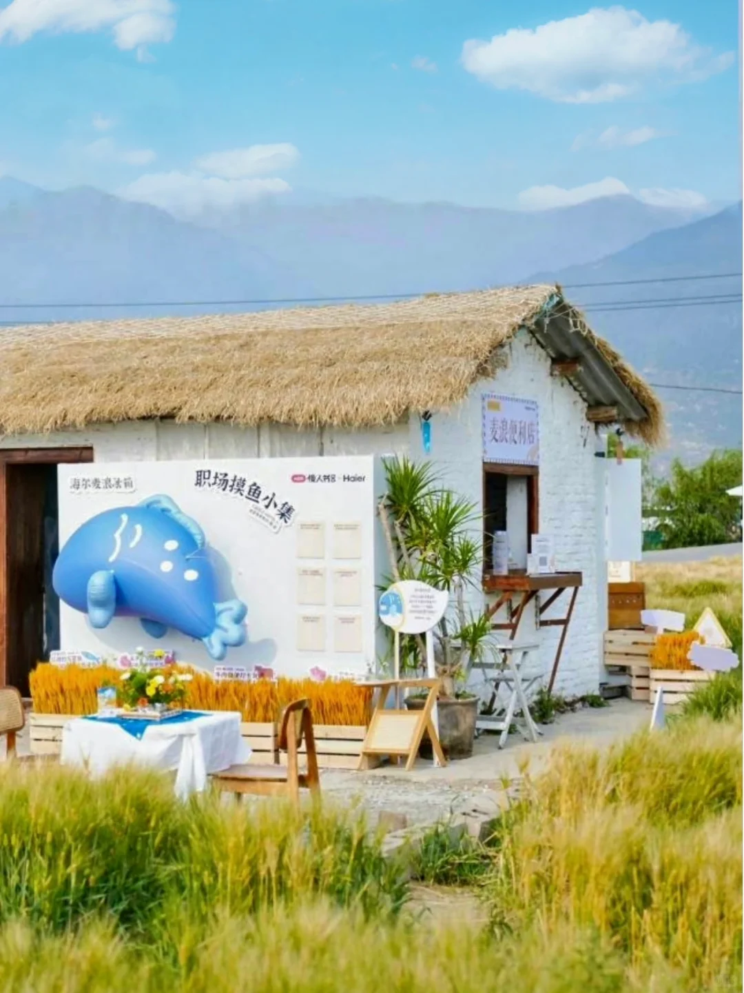 大理已回❗️真心提醒5~6月要去的姐妹们😓