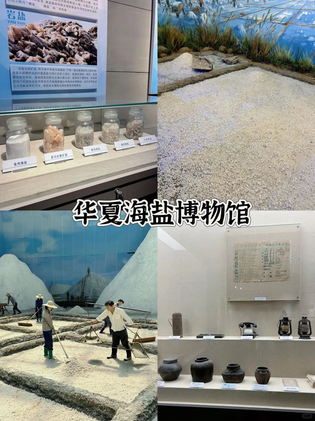 玩转滨州看这一篇就够了👇🏻详细攻略