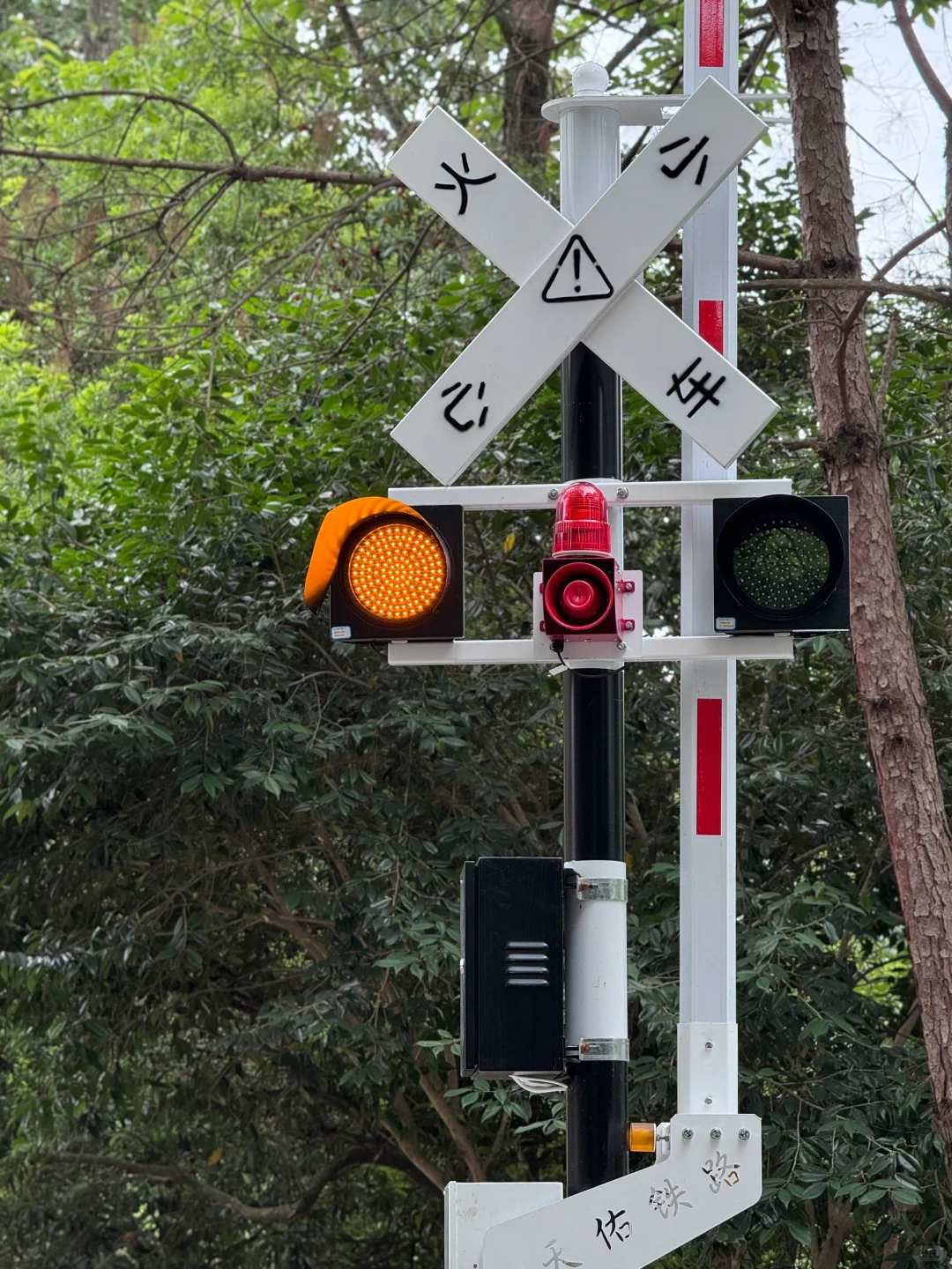 把这条推给所有千岛湖本地人