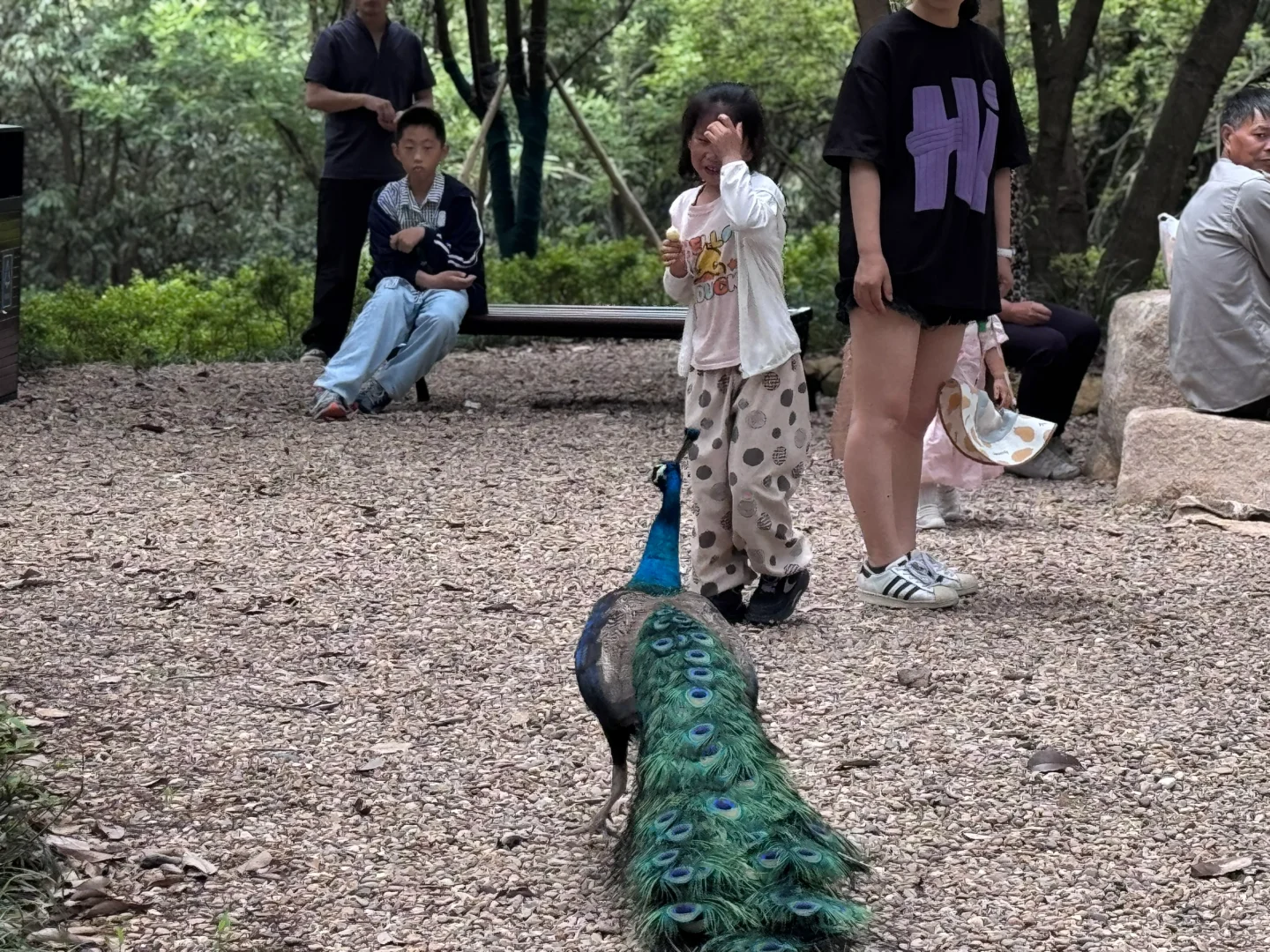 把这条推给所有千岛湖本地人