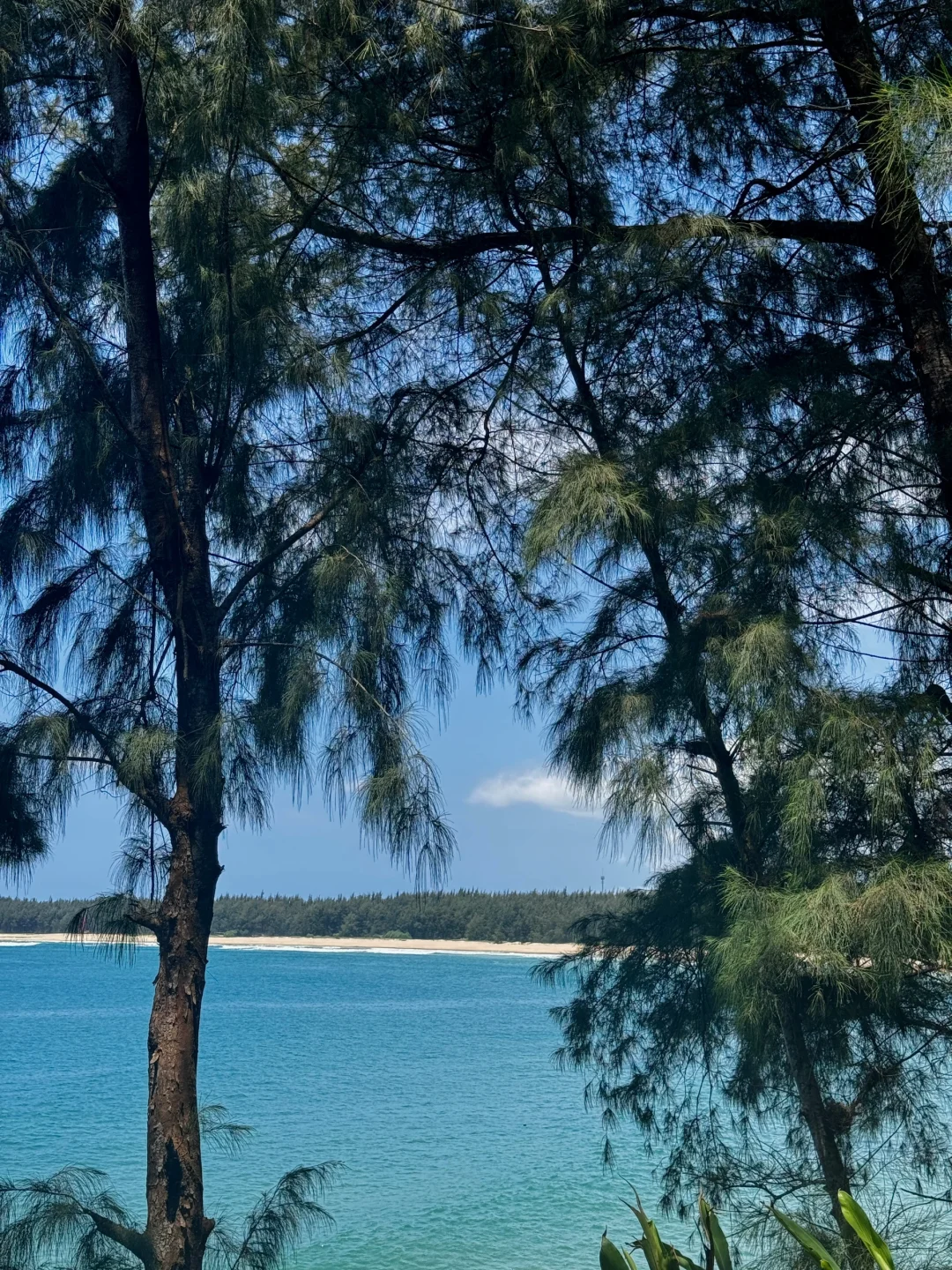03女大学生勇闯万宁三天两晚📍不绕路旅游