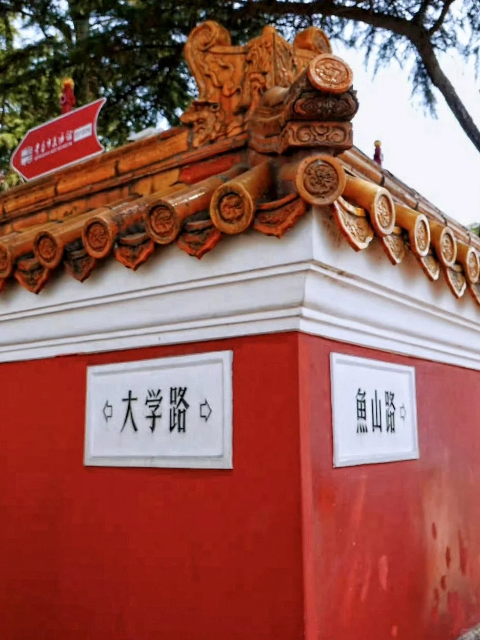 五一到青岛哈啤酒🍺吃蛤蜊🐚