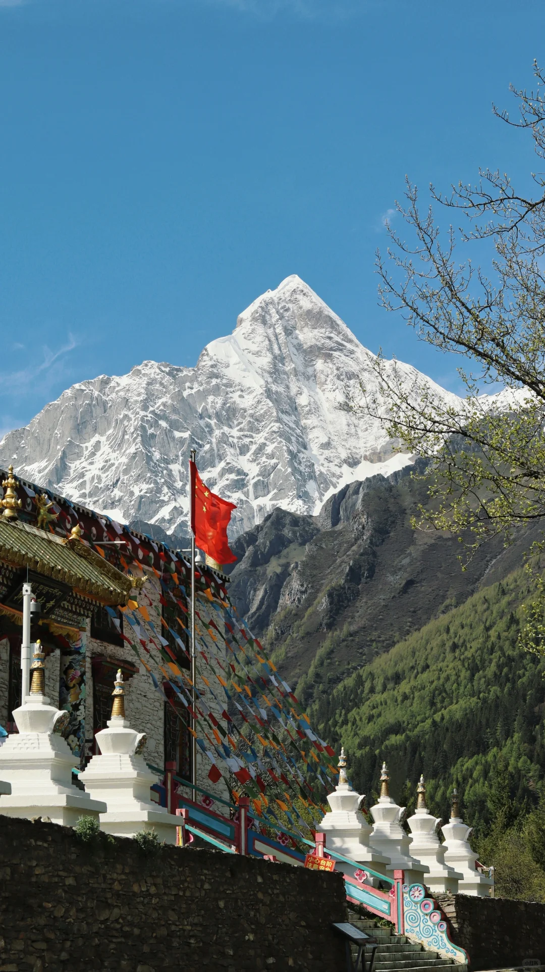 成都-四姑娘山-九寨沟不自驾不跟团攻略1⃣️