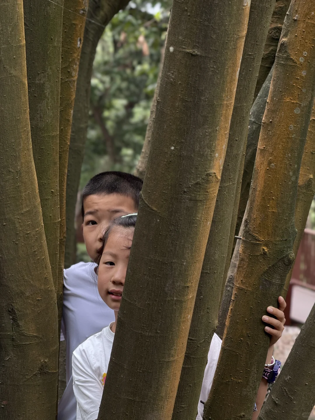 把这条推给所有千岛湖本地人