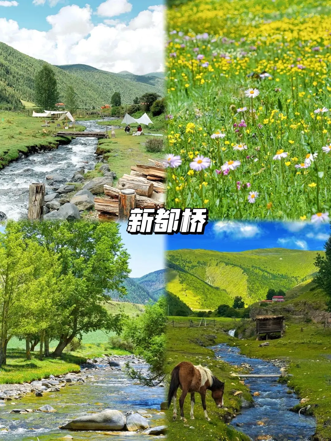 川西🌈必打卡的10个景点游玩攻略🔥