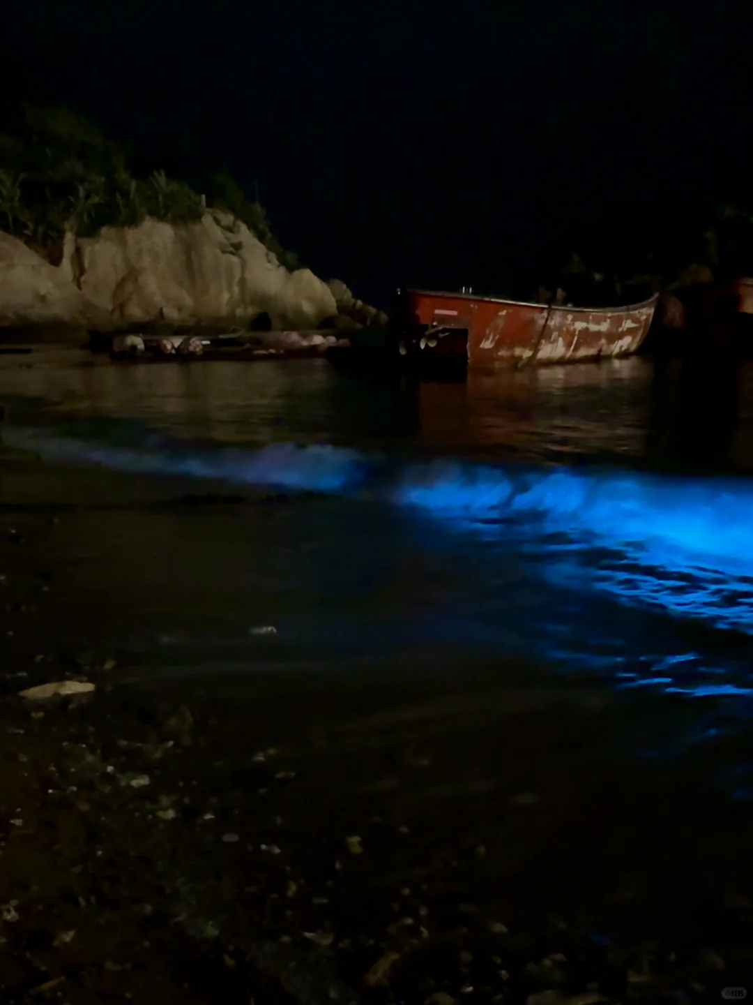 平潭，狗都不…