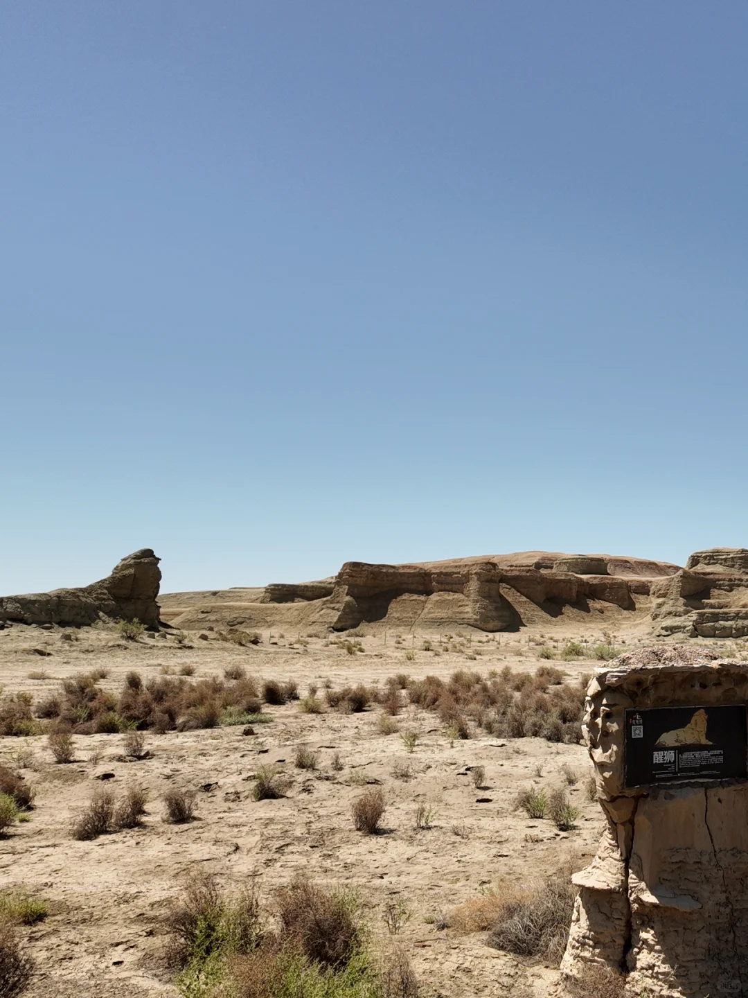 女生一人勇闯新疆旅游已回