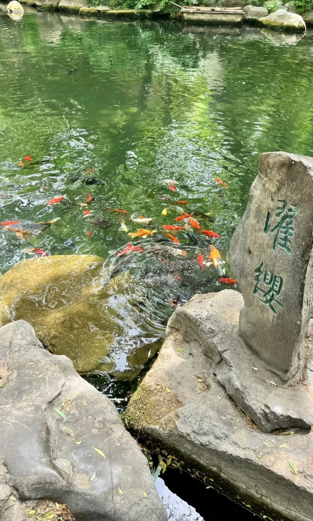 邯郸周边游之济南一日游，旅游攻略分享