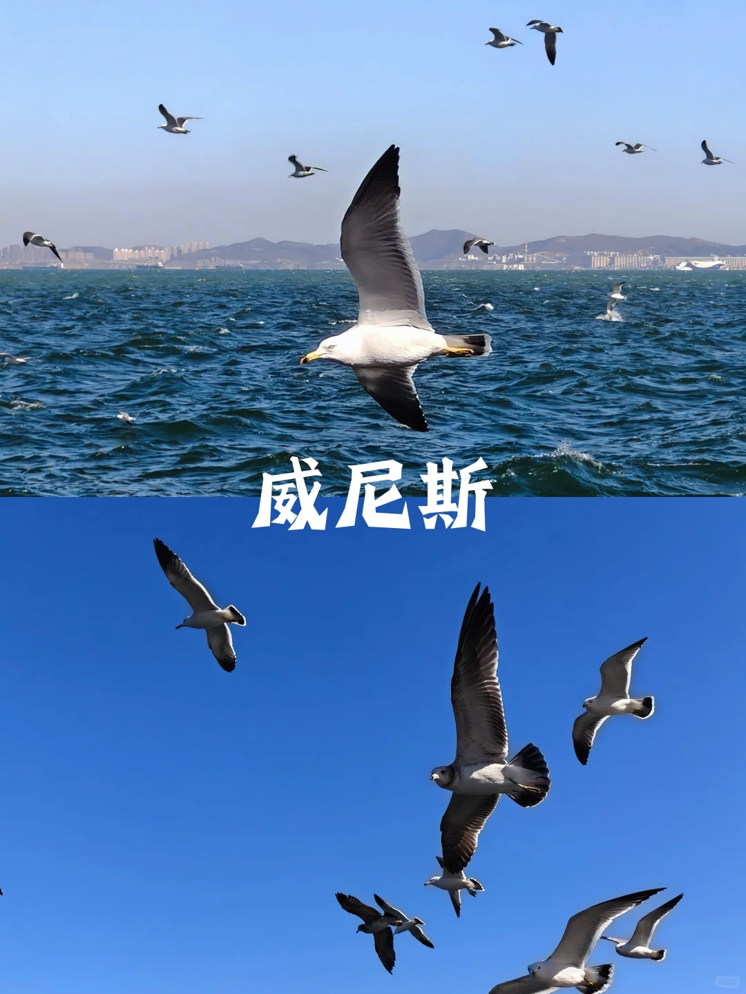 🌍大连四天三晚旅游攻略——景点篇