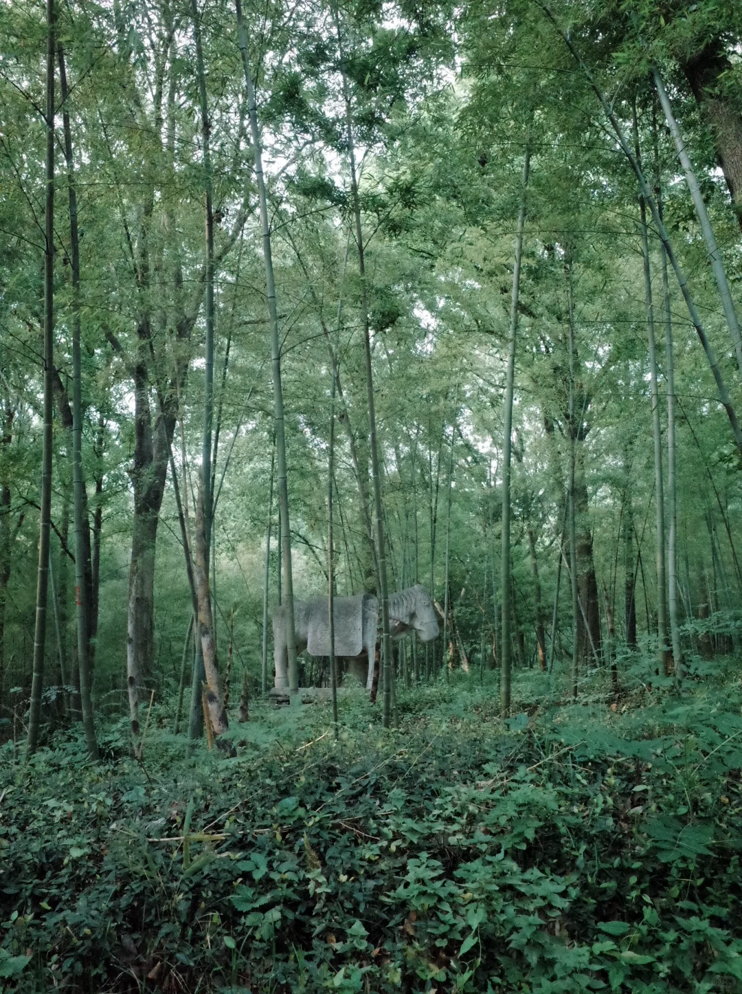 南京最喜欢的地方（之一