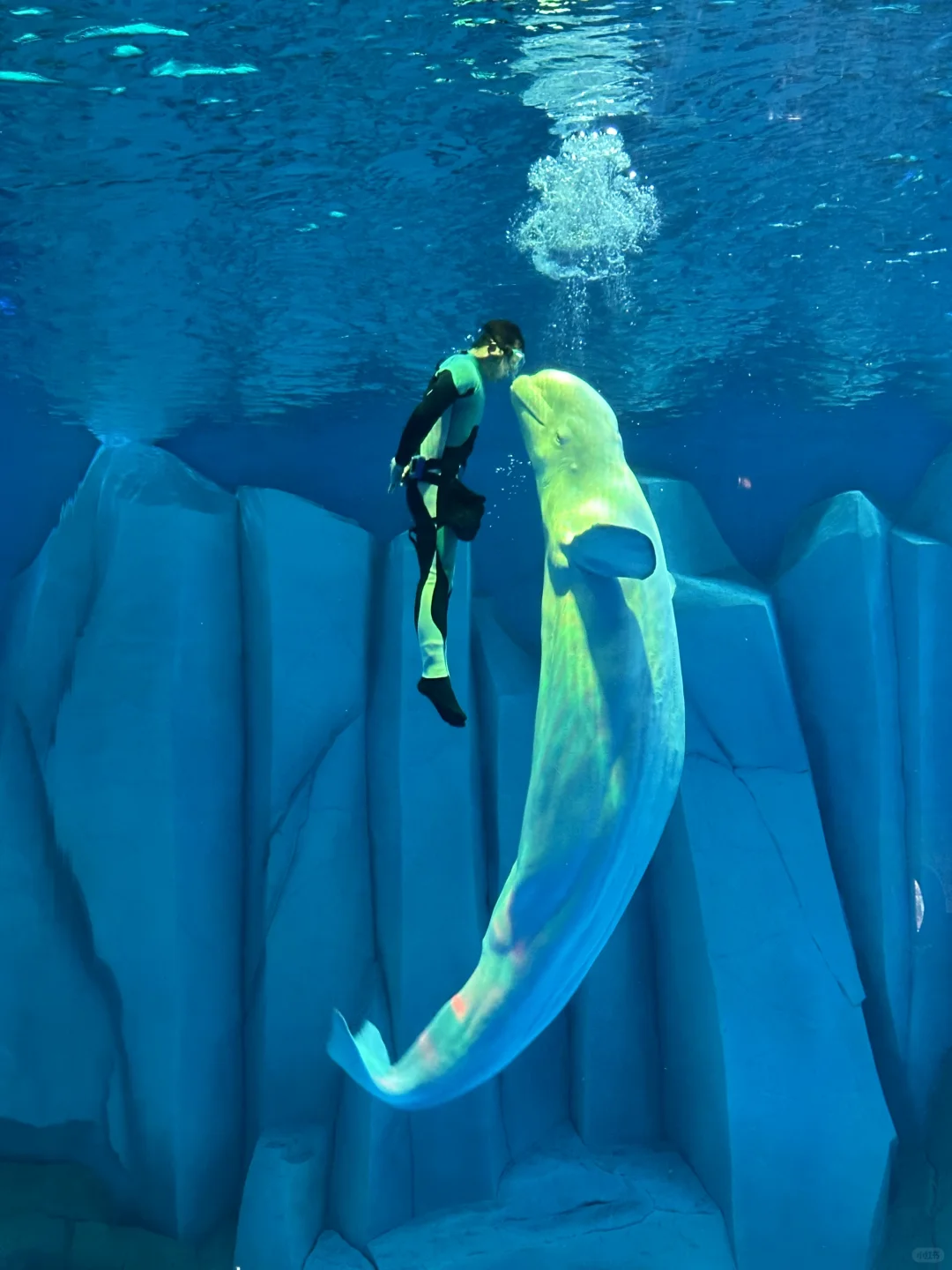 本以为橘子洲很美了，直到我来了这里……🥹