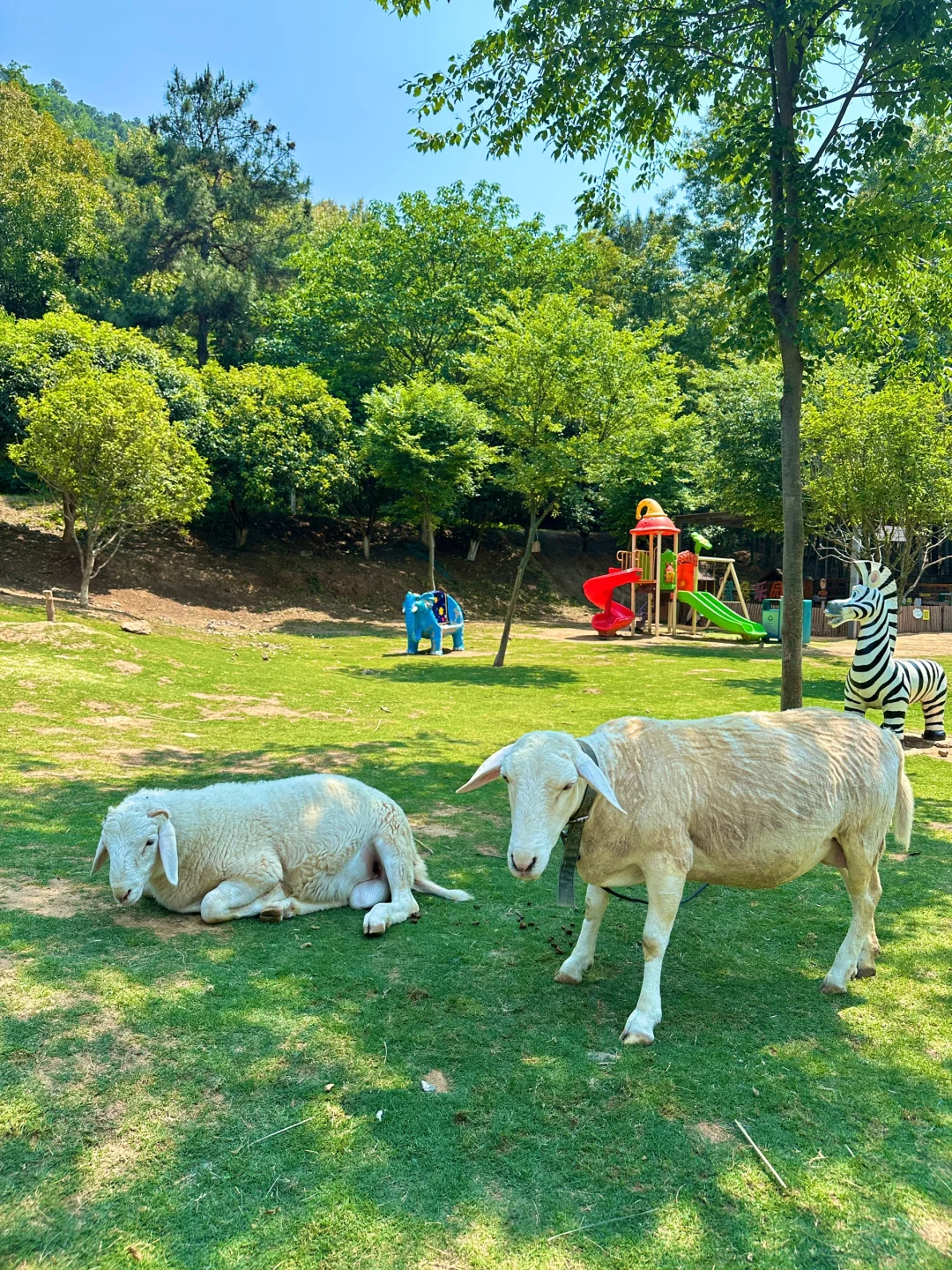 端午节王炸玩法!避开人从众的秘境被找到啦