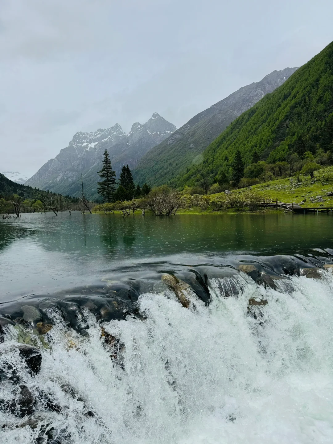 四姑娘山已回,这个季节太美了