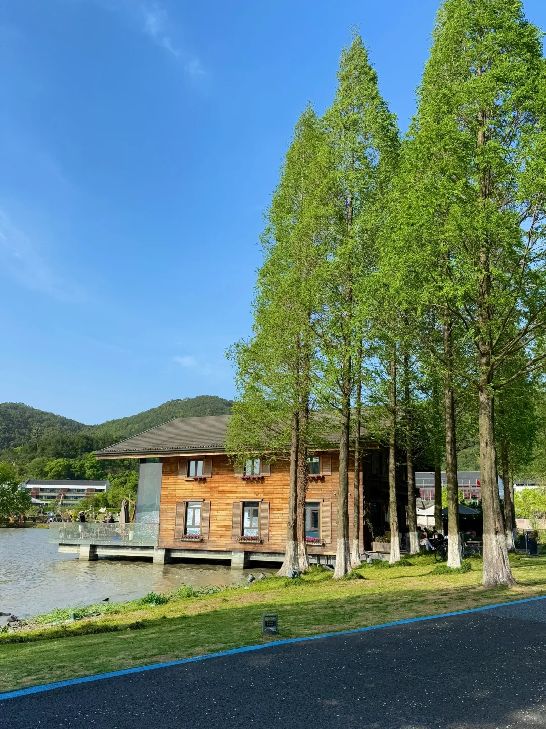 端午要来宁波的宝子们注意啦！来宁波前必看