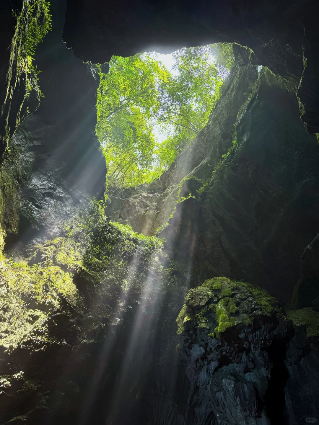 🌿杭州灵山·仙桥洞｜闯进现实版“绿野仙踪”！
